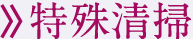 特殊清掃
