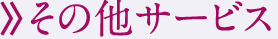 その他サービス